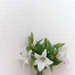 Eden 라스페치아
